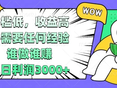 门槛低,收益高,不需要任何经验,谁做谁赚,单日利润3000+
