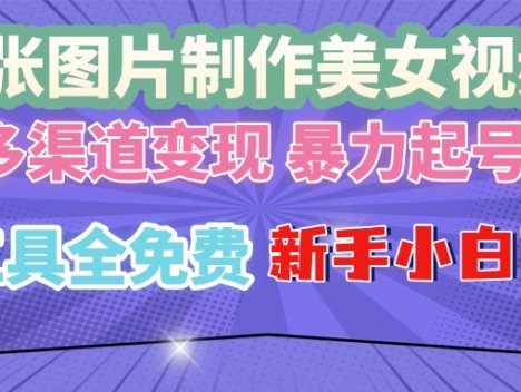 单张图片作美女视频 ,多渠道变现 暴力起号,所有工具全免费 ,新手小…