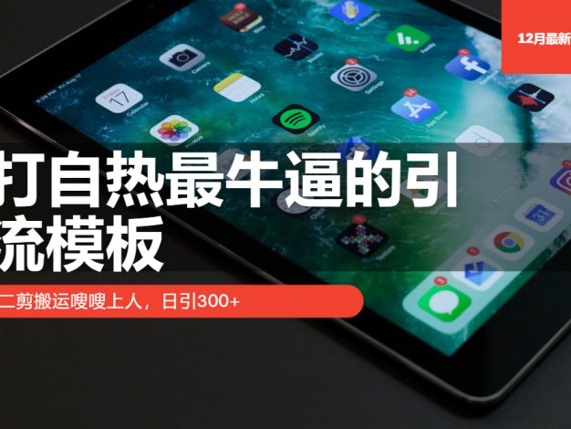 打自热最牛逼的引流模板，二剪搬运嗖嗖上人，日引300+