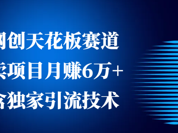 网创天花板赛道，卖项目月赚6万+，含独家引流技术(共26节课)