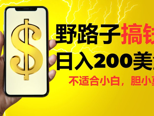 野路子搞钱，日入200美金，路子很野，小白莫入