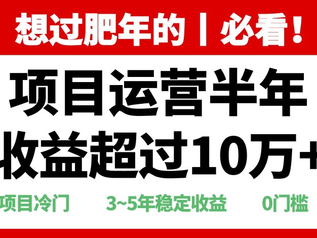 年前过肥年的必看的超冷门项目，半年收益超过10万+，