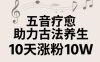 古法五音养生教程，五音疗愈的视频的制作方法，2-4小时就能学会，作者10天涨粉10W
