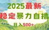 2025最新暴力自撸项目，日入5张+，可矩阵操作【揭秘】
