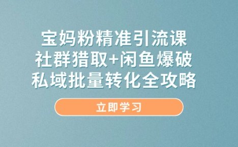宝妈粉精准引流课,社群猎取+闲鱼爆破,私域批量转化全攻略