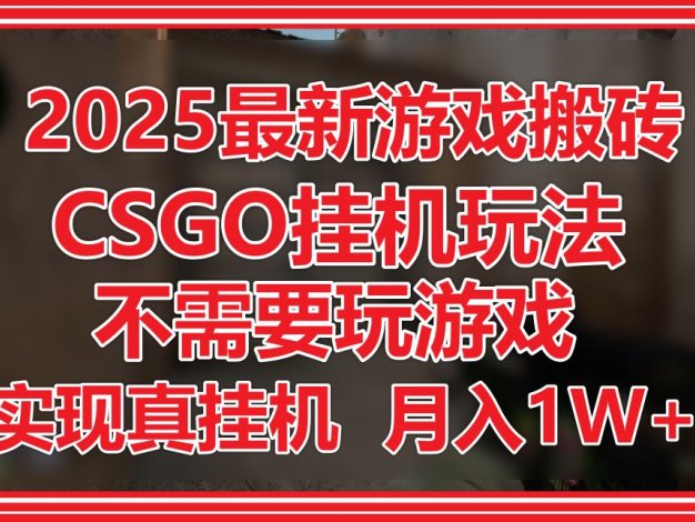 2025最新游戏搬砖，CSGO挂机，不需要玩游戏，实现真挂机，月入1W+