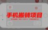 手机搬砖项目，有手就能做，亲测一小时几十，苹果安卓都可以