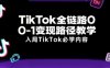 TikTok全链路0-1变现路径教学，入局TikTok必学内容