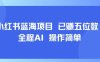 小红书蓝海项目，全程AI，操作简单，已挣五位数