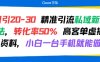 日引 20-30 精准引流私域新玩法，转化率50% 高客单虚拟资料，小白一台手机就能做