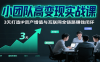 小团队高变现实战课，3天打造IP资产增值与互联网全链路赚钱闭环(第二期)