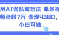 用AI做私域玩法，单条视频涨粉7W变现4.3k，小白可做