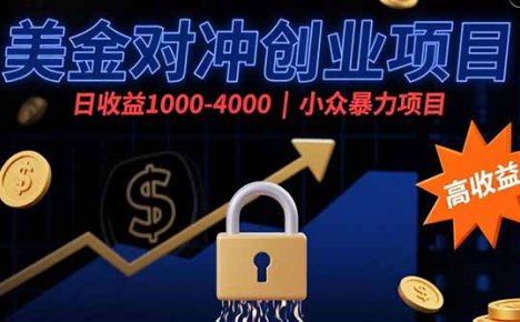 美金对冲创业项目，日收益1000-4000，小众暴力项目