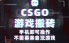 CSGO游戏捡漏，单日扫货500+，年底小高峰上车可吃肉，手机即可操作