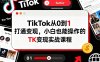 TikTok从0到1打通变现，小白也能操作的TK变现实战课程