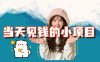 当天能收益的3个小项目拆解_包括平台+操作流程