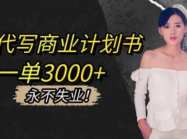 AI代写商业计划书，一单3000+，提供接单渠道，主打长期稳定，永不失业
