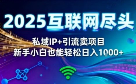 2025网创尽头王炸项目！私域IP+精准引流，新手小白在家躺賺日入1k，零经验也能上手【揭秘】