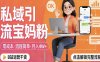 私域引流宝妈粉，零成本流程简单，手把手教你精准获客，月入1W＋