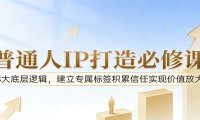 付费文章:普通人IP打造必修课,8大底层逻辑,建立专属标签积累信任实现价值放大