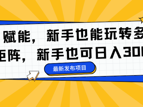 AI 赋能，新手也能玩转多平台矩阵，新手也可日入300+
