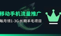 手机流量领取推广_每月一轮，刚需类的长期项目