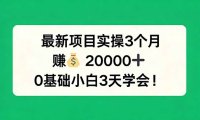 最新项目实操3个月，赚钱20000+，0基础小白3天学会！