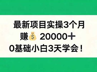 最新项目实操3个月，赚钱20000+，0基础小白3天学会！