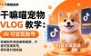 干嘛喵宠物 VLOG 教学：AI 快速制作高级宠物视频，打造可变现账号，拿抖音分成收益