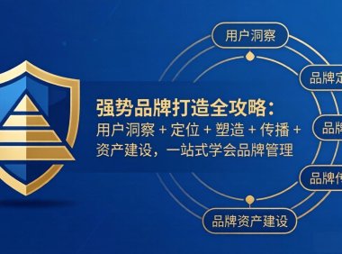 强势品牌打造全攻略：用户洞察 + 定位 + 塑造 + 传播 + 资产建设，一站式学会品牌管理