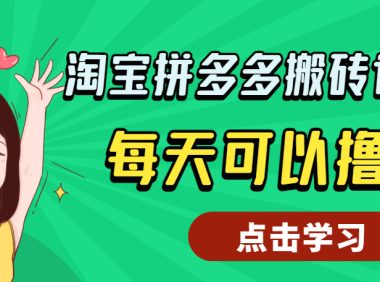 外面收费188的淘宝拼多多搬砖返现项目，每天可以撸几十