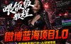 微博蓝海项目1.0_各种Sao操作整理+AI引流拆解，喂饭级教学