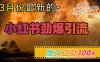 小红书超劲爆引流手段，图文日引300+轻松变现1W