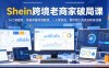 Shein跨境老商家破局课，AI工具提效，突破单量利润瓶颈，一人管多店，带你用工具流玩转多店铺