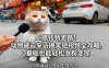 AI搞钱新思路！动物被迫采访搞笑短视频全攻略，0基础也能轻松涨粉变现