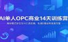 AI单人OPC商业14天训练营：商业模式定位与AI工具实操，私域B端业务变现方案