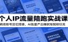 个人IP流量陪跑实战课：精准账号定位搭建，AI批量产出爆款短视频引流