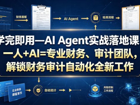 学完即用—AI Agent实战落地课：一人+AI=专业财务、审计团队，解锁财务审计自动化全新工作模式