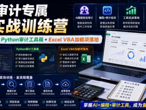 财会审计专属AI实战训练营｜AI协同编程+Python审计工具箱+Excel VBA加载项落地