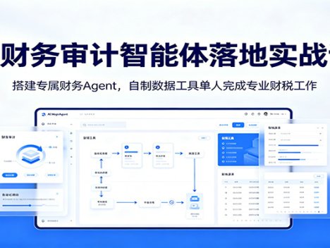 AI财务审计智能体落地实战课：搭建专属财务Agent，自制数据工具单人完成专业财税工作