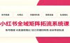小红书全域矩阵拓流系统课：账号搭建、AI批量做笔记，SEO关键词布局、安全导流私域