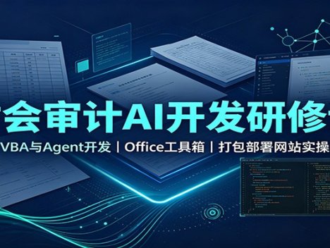 财会审计AI开发研修课：VBA与Agent开发，Office工具箱，打包部署网站实操
