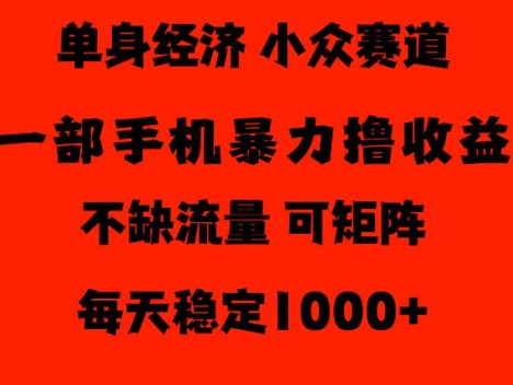 26年暴力单身经济，稳定日入500-1k，不缺流量，流量极大，冷门小众赛道，门槛低小白轻松上手【揭秘】